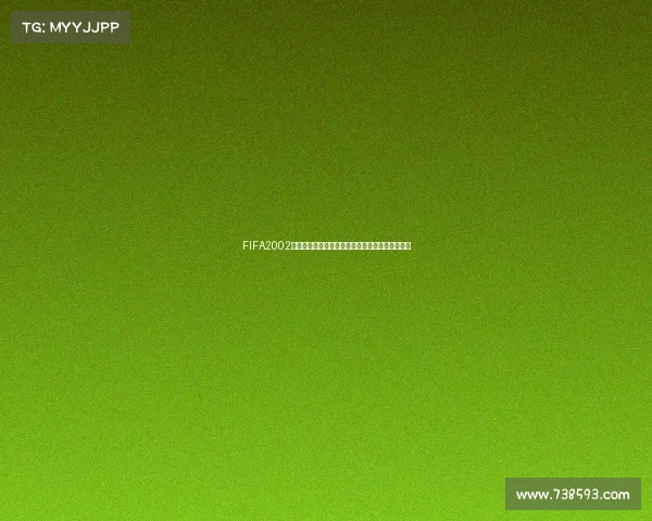 FIFA2002世界杯解说带你重温经典绿茵赛场激情瞬间回顾盛